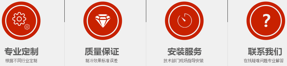 NE板鏈提升機(jī)